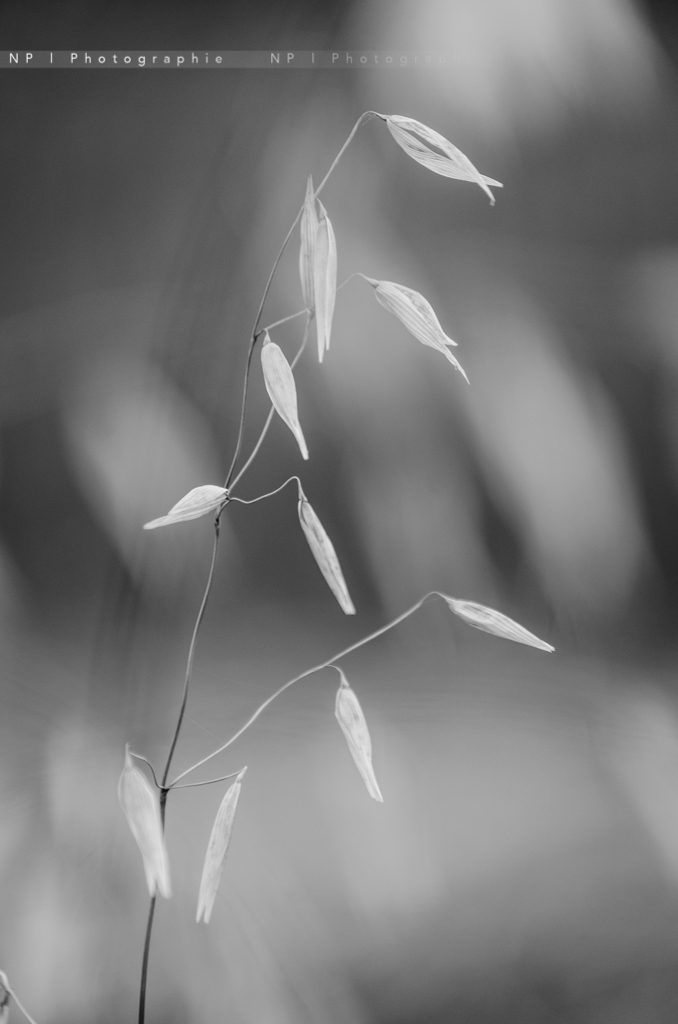 Minimaliste · Work · photo 3