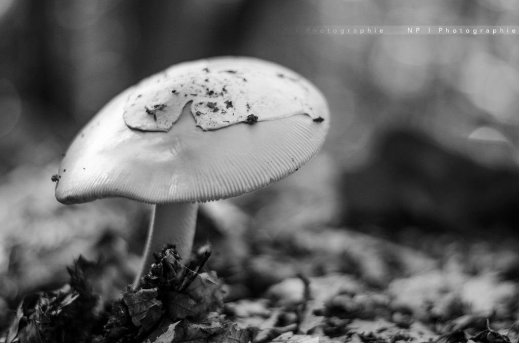 Minimaliste · Work · photo 4
