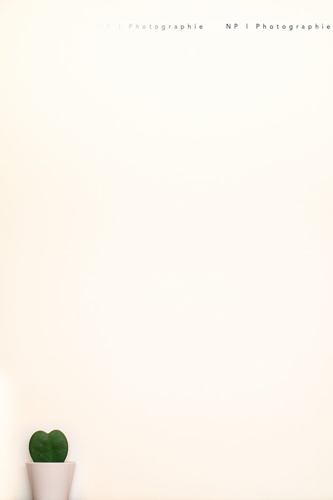 Minimaliste · Work · photo 5