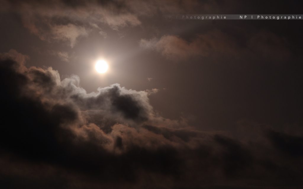 Astres · Work · photo 7
